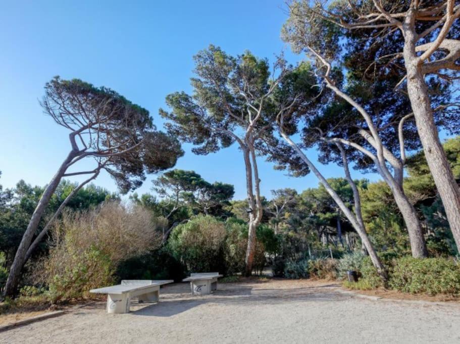 Superbe Appartement 50M De La Plage En Bord De Mer Йер Экстерьер фото